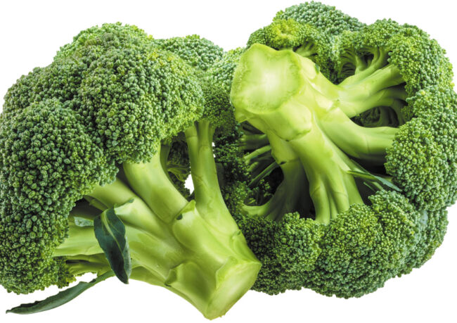 Fresh broccoli isolated on white background