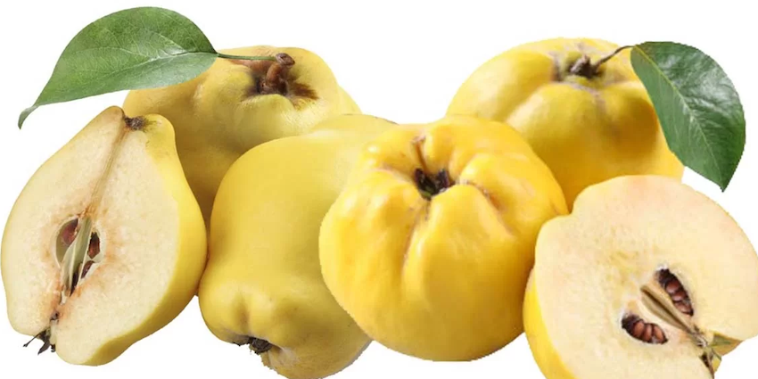 gutui