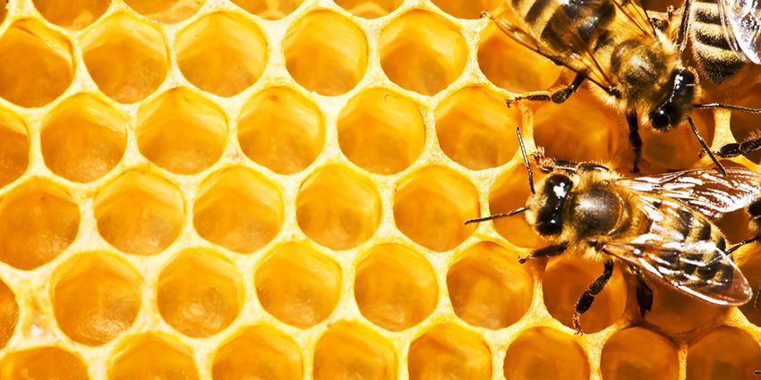 miere-cu-propolis