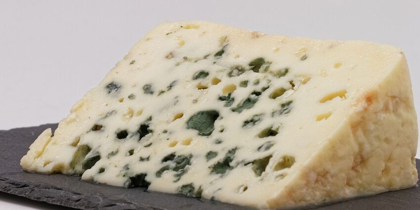 branza-roquefort