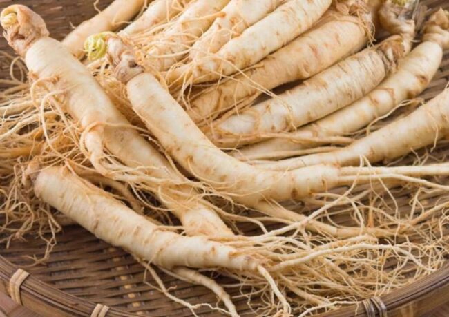 ginseng