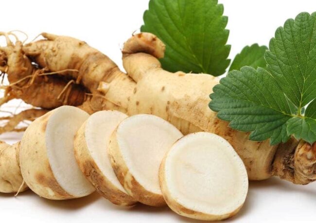 ginseng