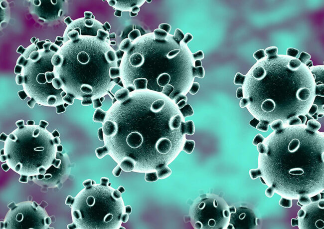 coronavirus