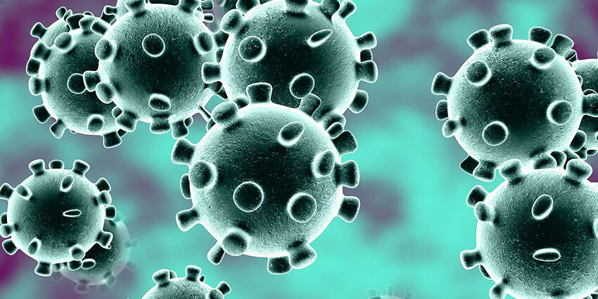 coronavirus